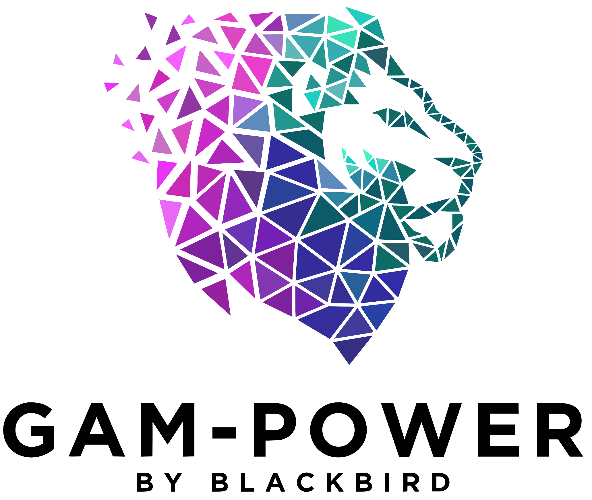GAM Power logo